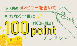 購入商品のレビューを書いてもれなく全員に100pointプレゼント！