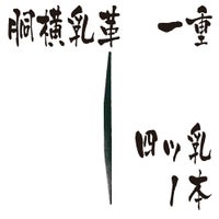 胴横乳革　四ツ乳　一重　1本