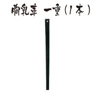 胸乳革　一重　1本