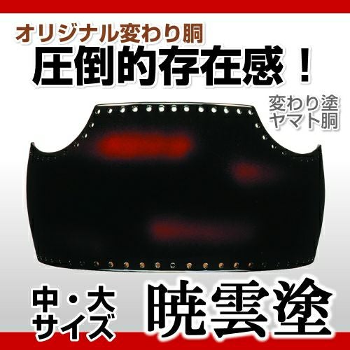 60本型胴 サメ 黒】 変わり胴(塗り胴）[組み立て品] 胴紐紺並付き